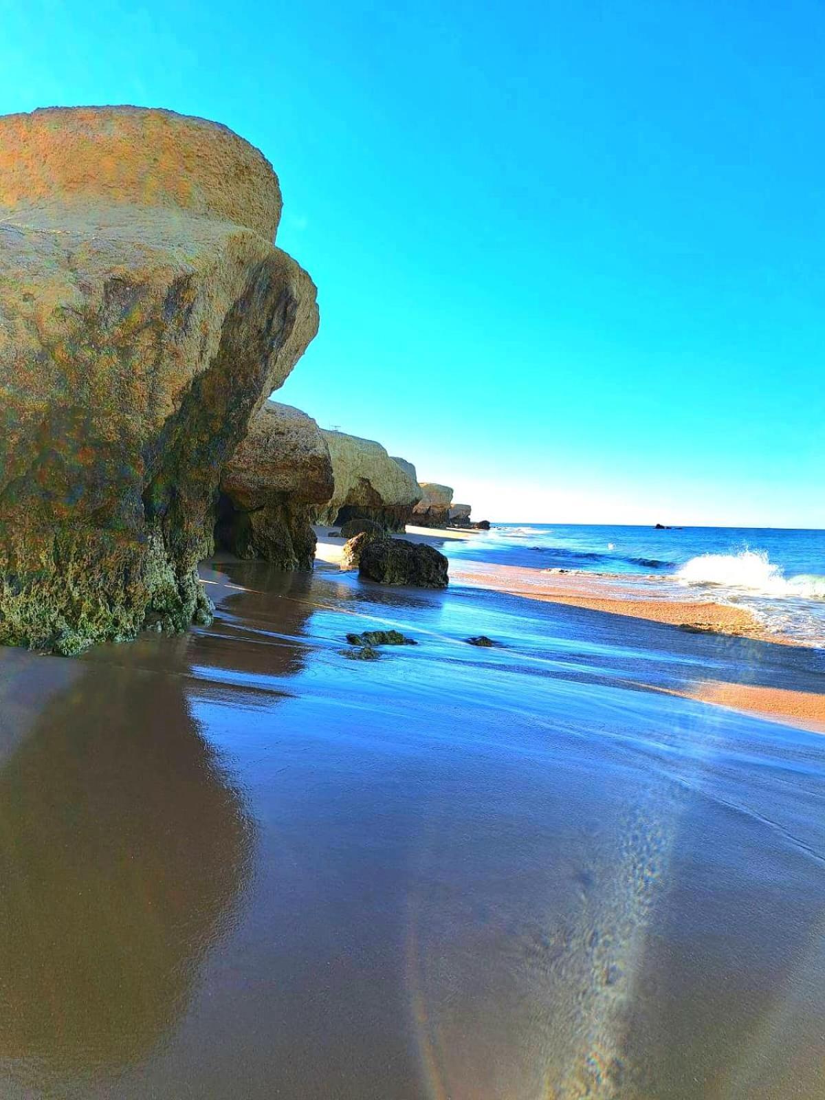 White T1 - Ocean View Apartman Albufeira Kültér fotó